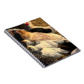 Cahier de poulets jolis (Côté Droit)