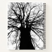 Cahier de spirale de l'arbre généalogique de la fa (Dos)