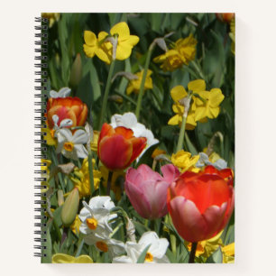 Cahier de tulipes et jonquilles colorés