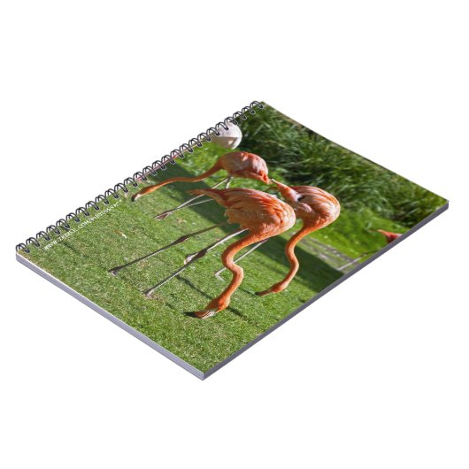 Cahier des Flamants (Côté gauche)