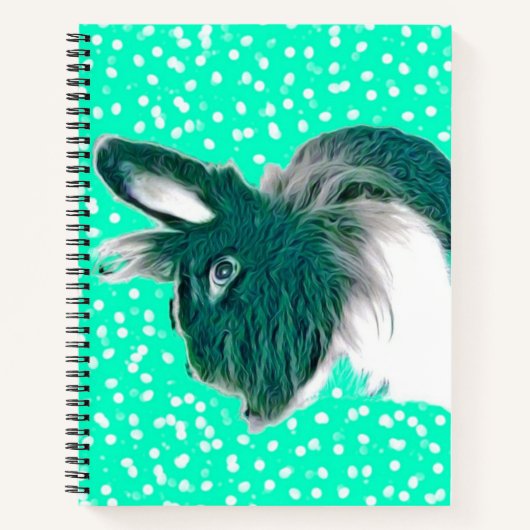 Cahier Dessin de Lapin (Devant)