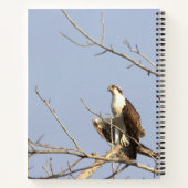Cahier d'oiseau balbuzard (Dos)