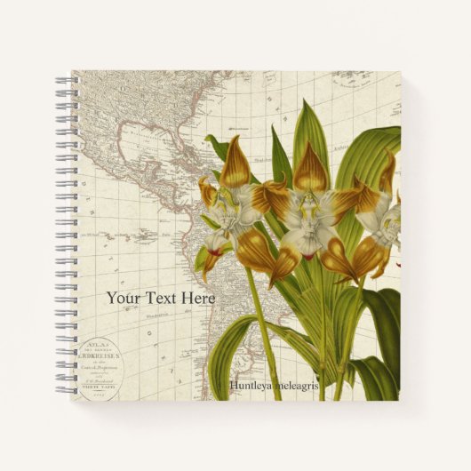 Cahier d'orchidée Huntleya Meleagris (Devant)