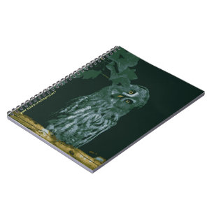 Cahier du Grand-duc gris