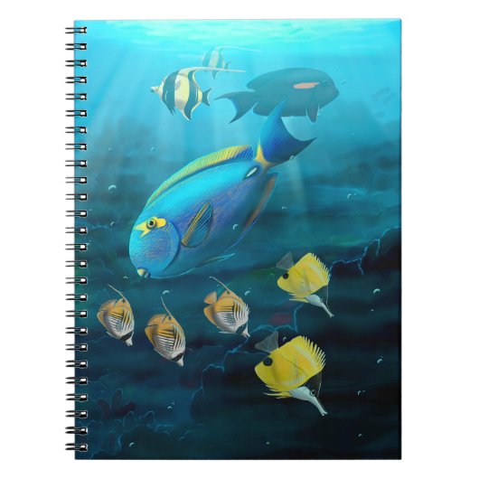 Cahier du récif corallien (Devant)