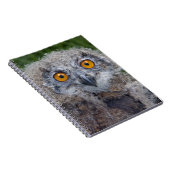 Cahier d'une mauvaise journée (Côté Droit)