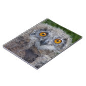 Cahier d'une mauvaise journée (Côté gauche)