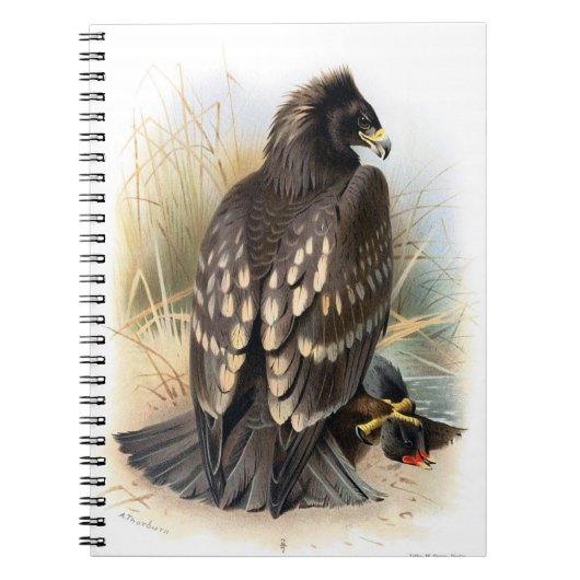 Cahier Eagle tacheté vintage (Devant)