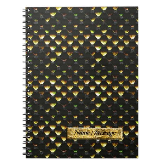 Cahier Écailles de Serpent 1B (Devant)