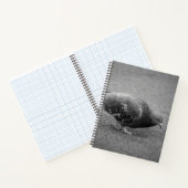 Cahier en spirale Pigeon (Intérieur)