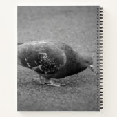 Cahier en spirale Pigeon (Dos)