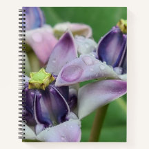 Cahier Fleur Couronne Violette