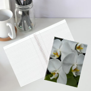 Cahier floral d'orchidées Phalaenopsis blanches