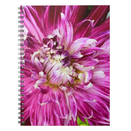 Cahier floral violet (Devant)