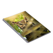 Cahier Grand-duc | Oiseau de la forêt cachée (Côté Droit)