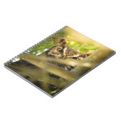 Cahier Grand-duc | Oiseau de la forêt cachée (Côté gauche)