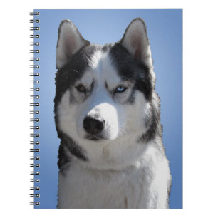Cahier Husky de Husky Sibérien Livre de Sleddog