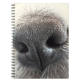 Cahier Nez de Chiot Irrésistible