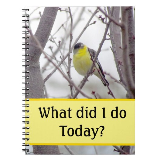 Cahier - Oiseau jaune dans les branches de l'arbre (Devant)