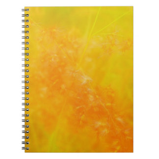 Cahier Orange Lumineux
