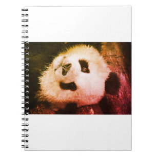 Cahier Ours Panda Style de Vie produit tendance
