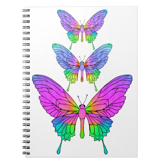 Cahier Papillons en Verre Coloré (Devant)