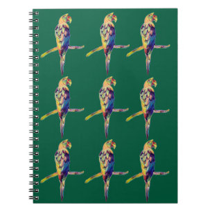 Cahier perroquet coloré