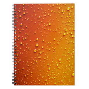Cahier photo (80 pages B & N)