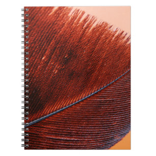 Cahier photo (80 pages B & N)