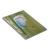 Cahier photo (80 pages B & N) (Côté Droit)