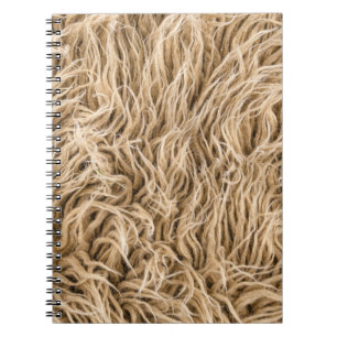 Cahier photo (80 pages noir et blanc)