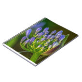 Cahier photo à spirale Fleur violette (Côté gauche)