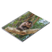 Cahier photo en spirale de Nico (Côté gauche)