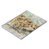 Cahier photo spirale Algas (Côté gauche)