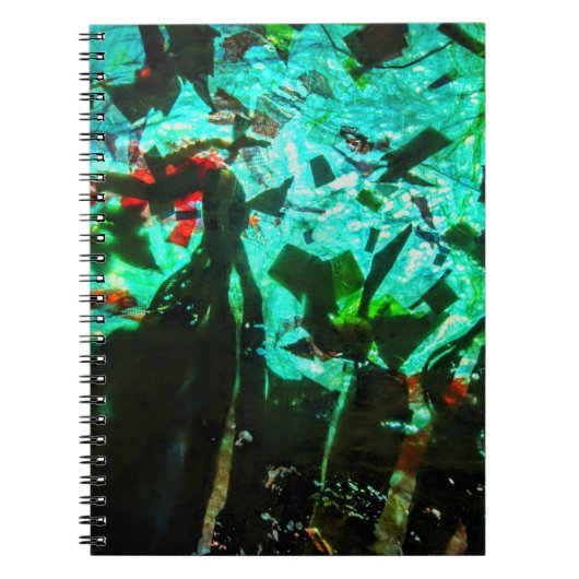 Cahier photo spirale bleu vif, Freesh (Devant)