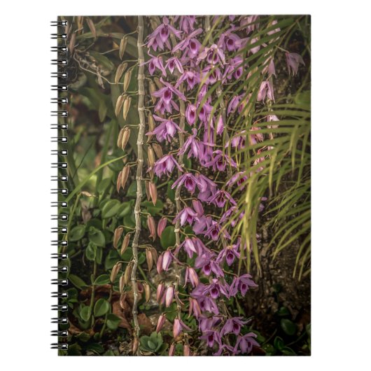Cahier photo spirale d'orchidées (Devant)