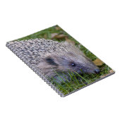Cahier Piquants (Côté Droit)