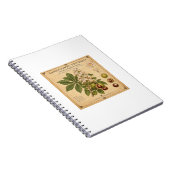 Cahier rétro. (Côté Droit)