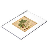 Cahier rétro. (Côté gauche)