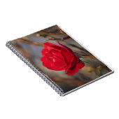 Cahier Rose d'Automne (Côté Droit)