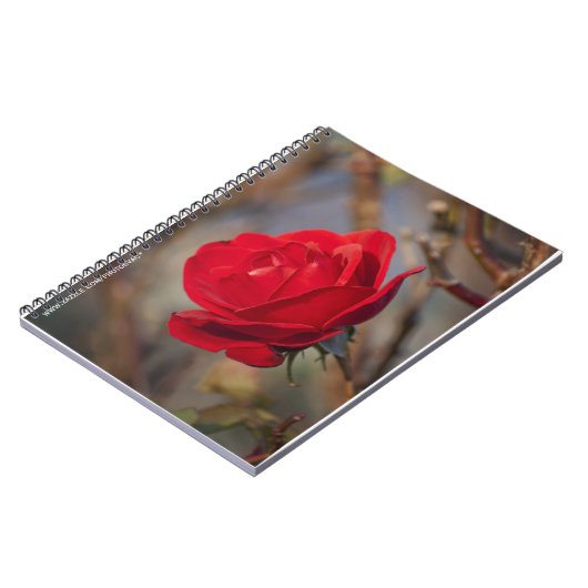 Cahier Rose d'Automne (Côté gauche)