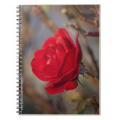 Cahier Rose d'Automne (Devant)
