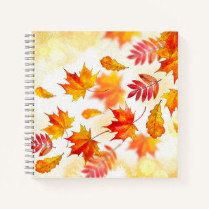 Cahier spiralé 8,5" x 8,5"