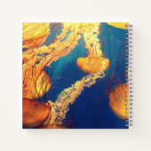 Cahier spiralé 8,5" x 8,5" (Dos)