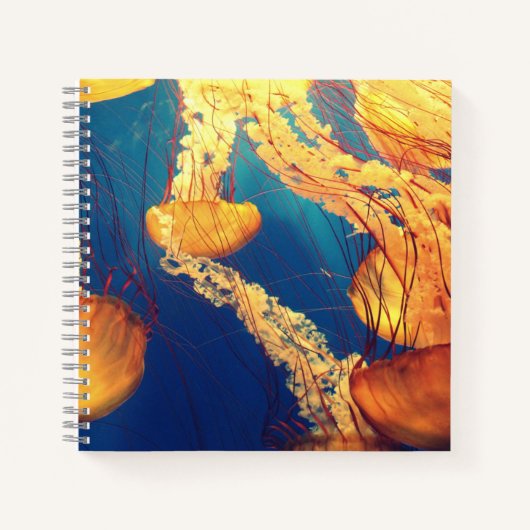 Cahier spiralé 8,5" x 8,5" (Devant)