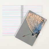 Cahier spiralé 8,5" x 8,5" (À l'intérieur)