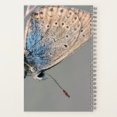 Cahier spiralé 8,5" x 8,5" (Verso)