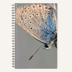 Cahier spiralé 8,5" x 8,5"