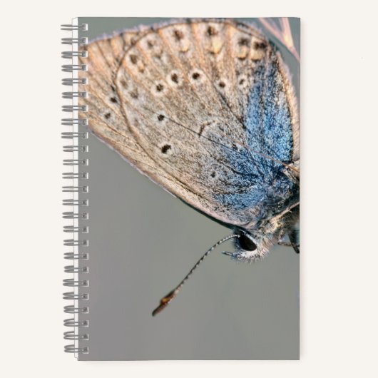 Cahier spiralé 8,5" x 8,5" (Recto)