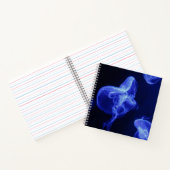 Cahier spiralé 8,5" x 8,5" (Intérieur)